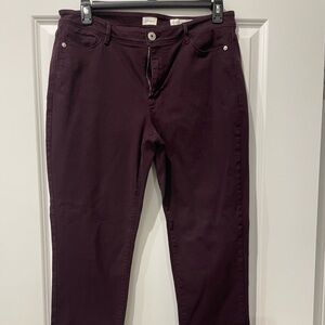 J.Jill Slim Ankle Jean